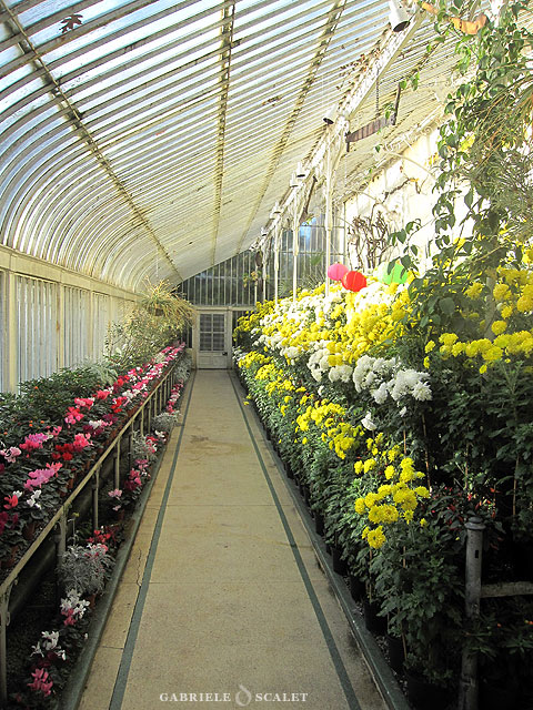 botanical garden