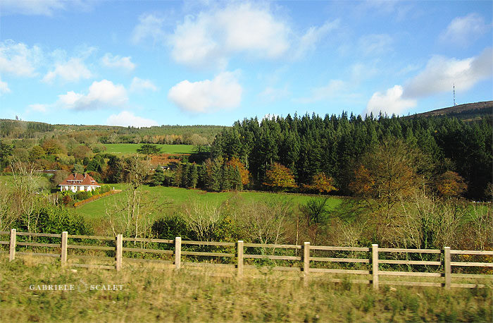 Panorama irlandese