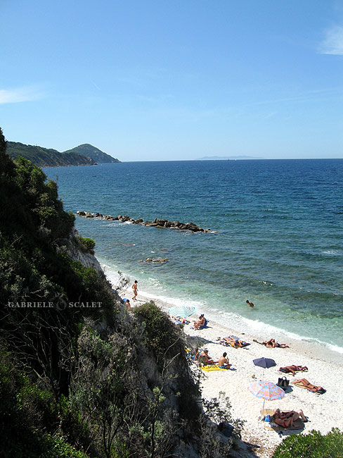 spiaggia bianca elba