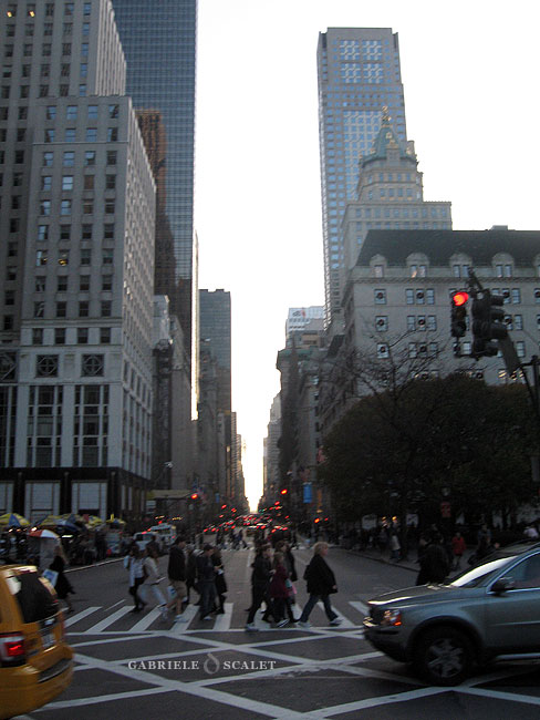 New York Districts