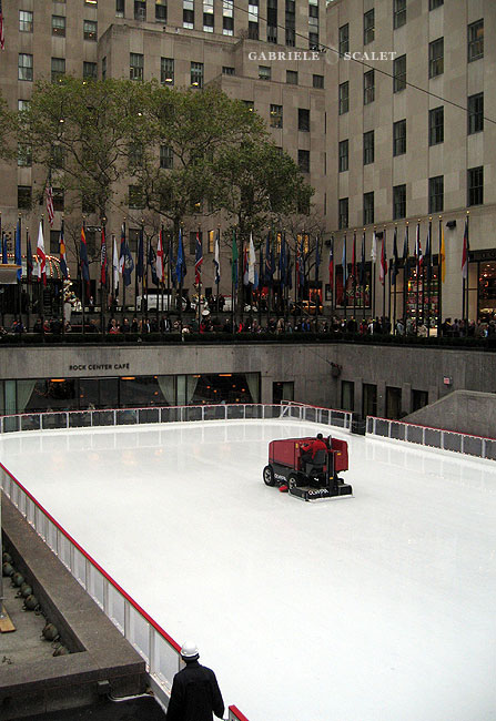 New York Districts