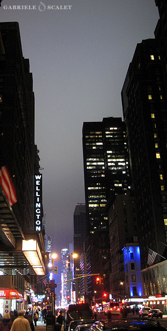 New York Skyscrapers