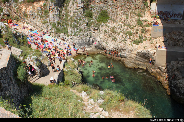 Ciolo dall'alto
