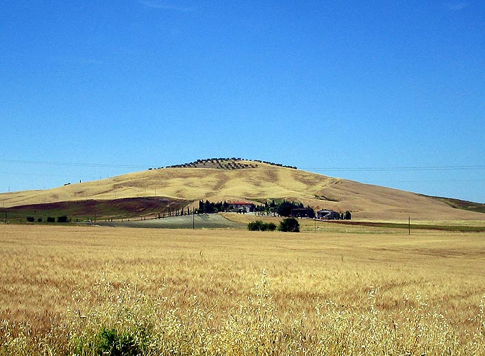 vallate senesi