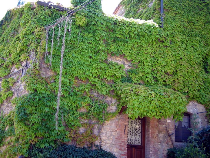 s quirico d orcia
